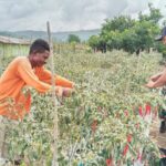 WhatsApp Image 2026-02-27 at 15.39.47